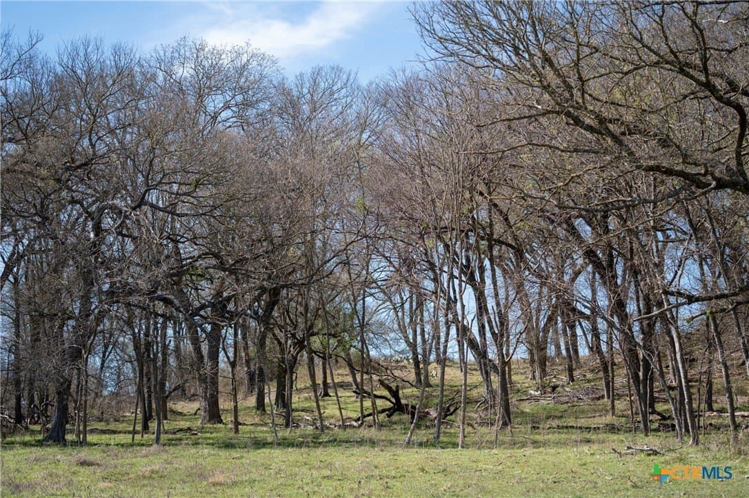 110.7 acres in Milam County - photo 5