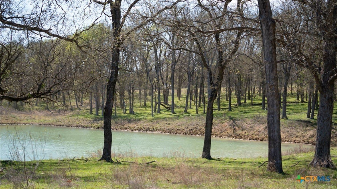 110.7 acres in Milam County - photo 3