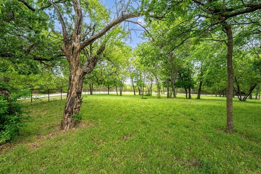 6.38 acres in Collin County - photo 16