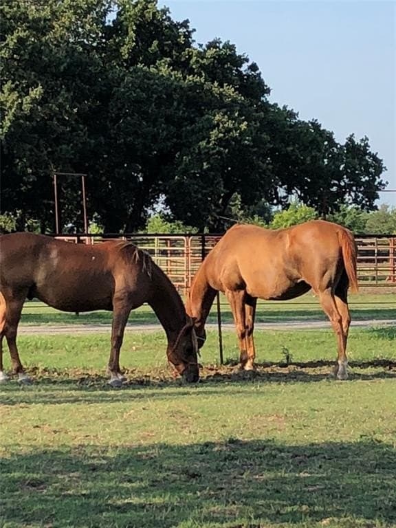 6.38 acres in Collin County - photo 9