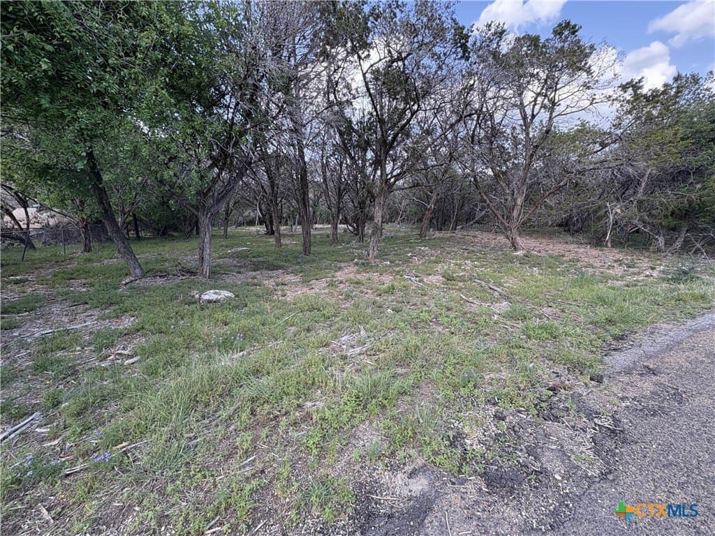 0.37 acres in Bell County - photo 4