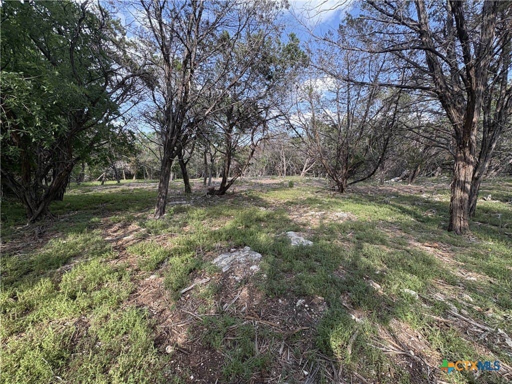 0.37 acres in Bell County - photo 5