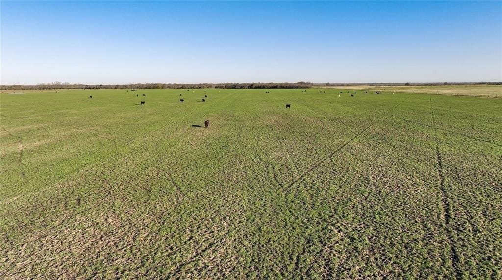 185.6 acres in Falls County - photo 11