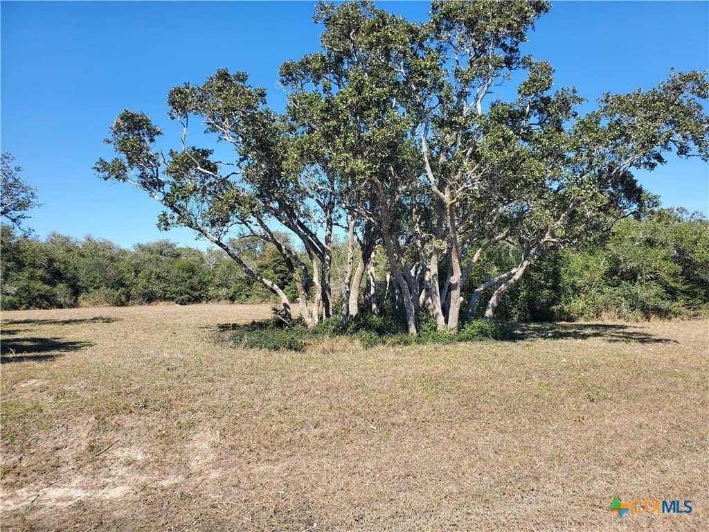 1.24 acres in Calhoun County - photo 3
