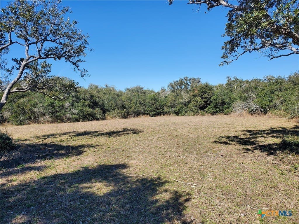 1.24 acres in Calhoun County - photo 5