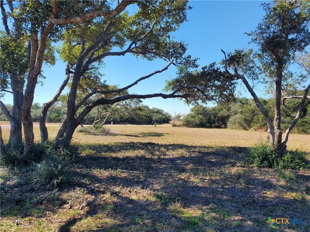 1.24 acres in Calhoun County - photo 6