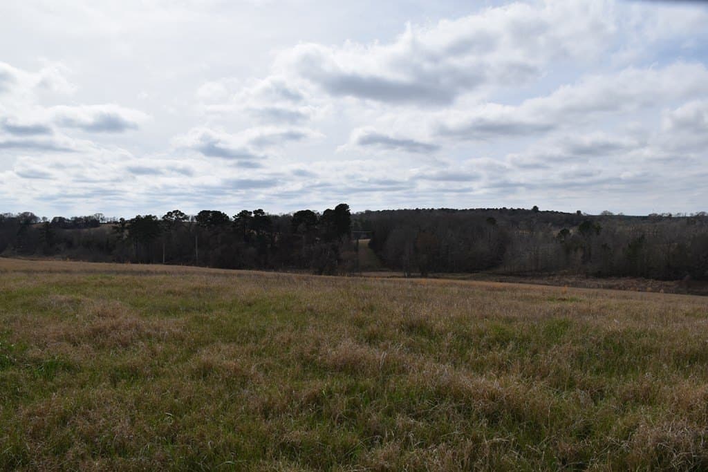 33 acres in ANDERSON County - photo 6