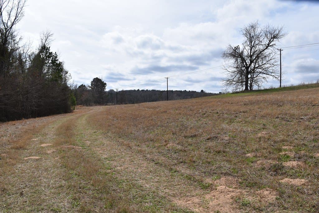33 acres in ANDERSON County - photo 16