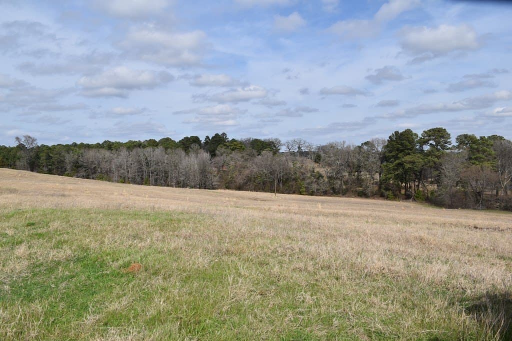 33 acres in ANDERSON County - photo 26