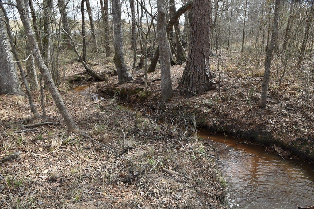 33 acres in ANDERSON County - photo 14