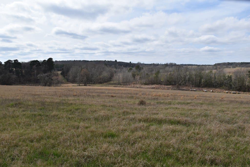 33 acres in ANDERSON County - photo 7