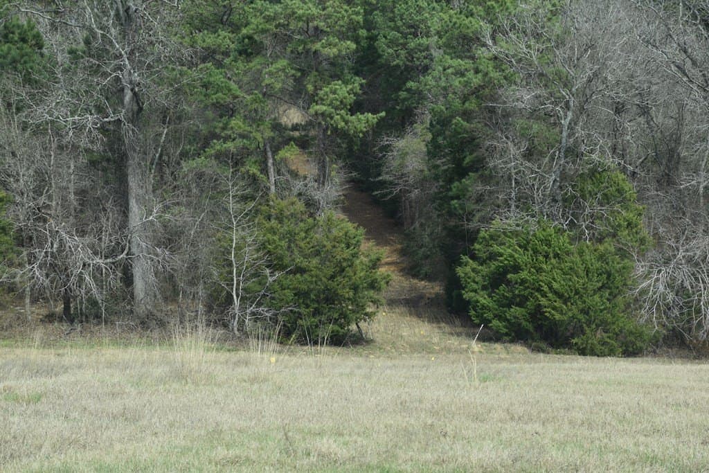 33 acres in ANDERSON County - photo 12