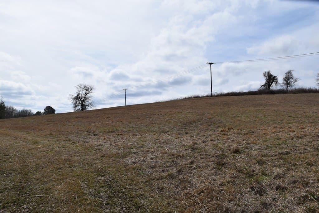 33 acres in ANDERSON County - photo 15