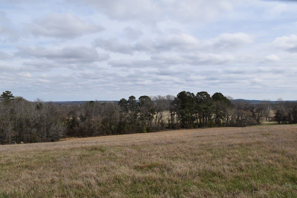 33 acres in ANDERSON County - photo 3