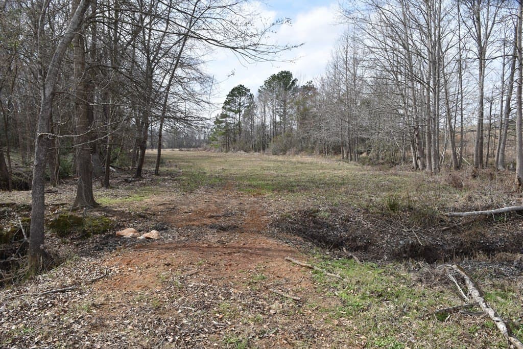 33 acres in ANDERSON County - photo 20