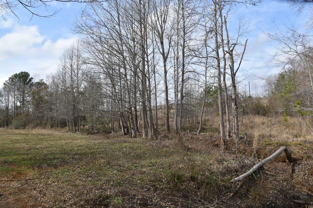 33 acres in ANDERSON County - photo 21