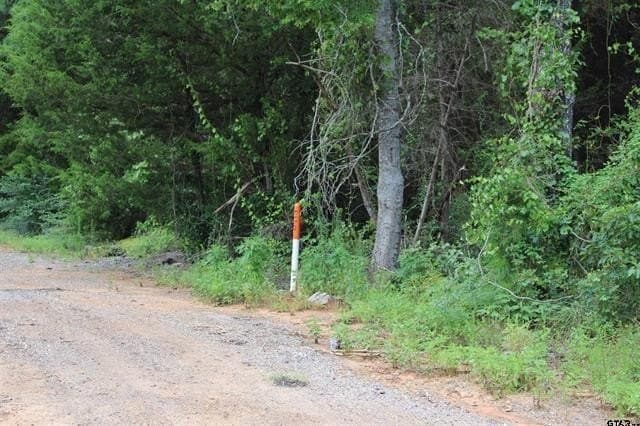 14.73 acres in Cherokee County - photo 2