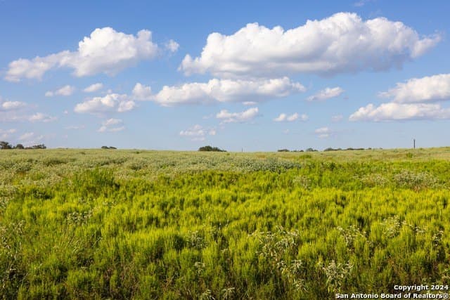 10 acres in Guadalupe County - photo 4