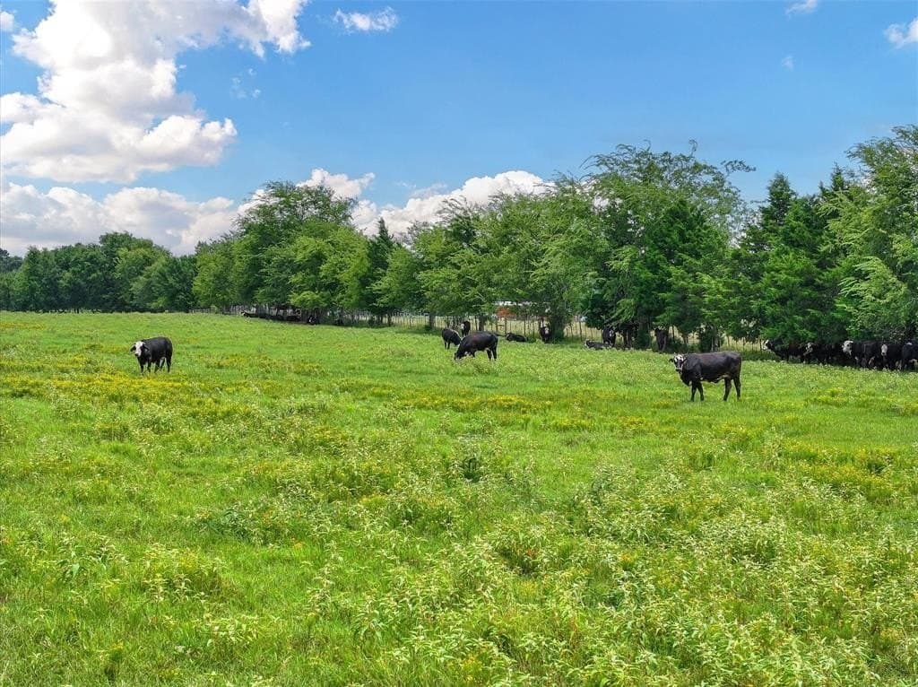 10 acres in Cherokee County - photo 8