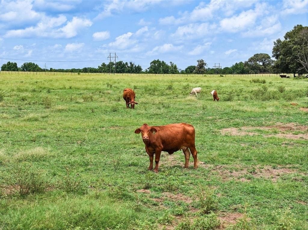 10 acres in Cherokee County - photo 7