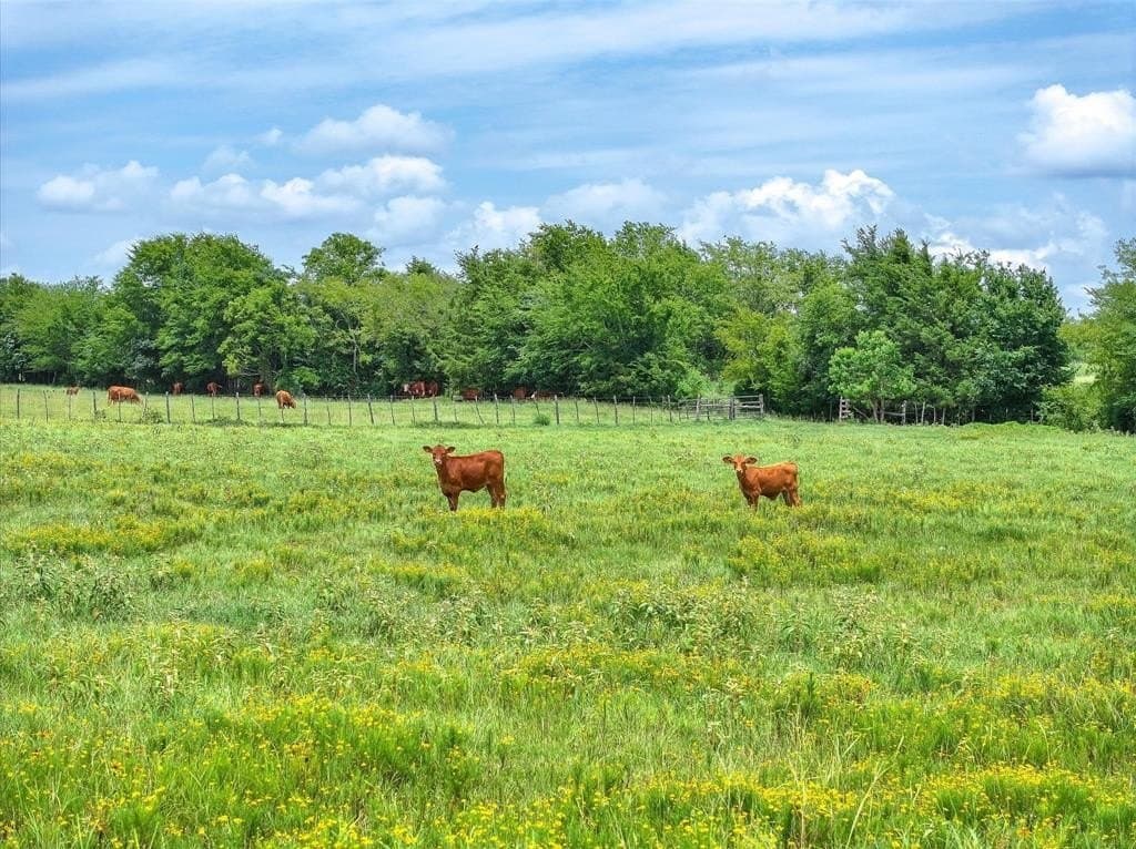 10 acres in Cherokee County - photo 3