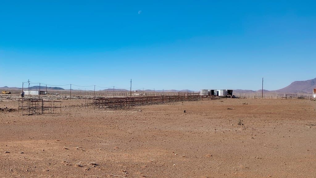 65 acres in Jeff Davis County - photo 12