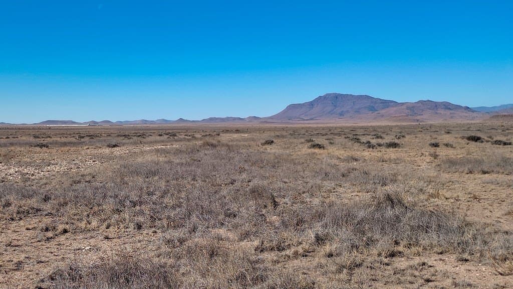 65 acres in Jeff Davis County - photo 10