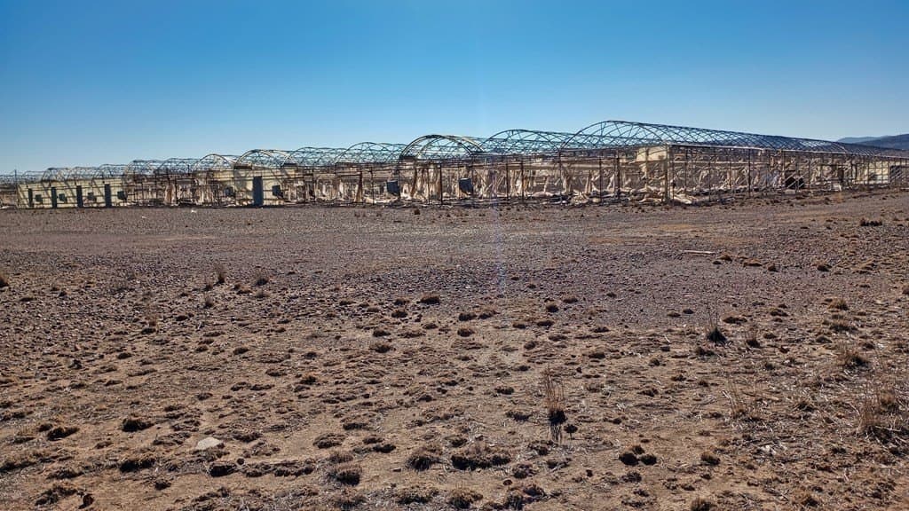 65 acres in Jeff Davis County - photo 9
