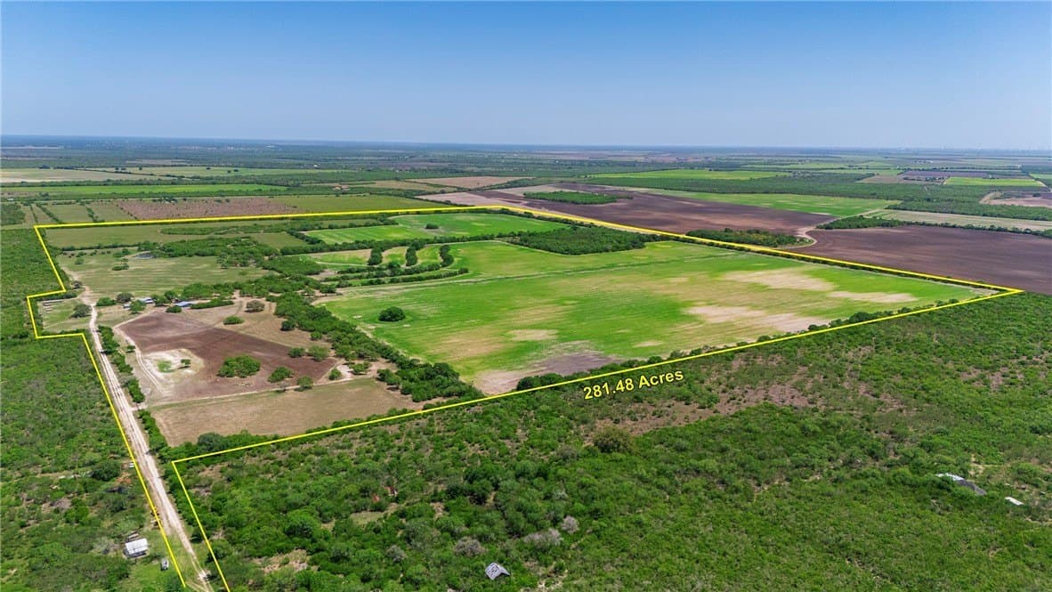 281.48 acres in Bee County - photo 2