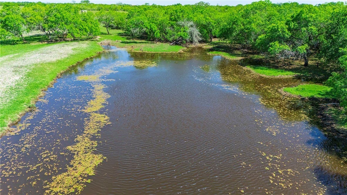 281.48 acres in Bee County - photo 18