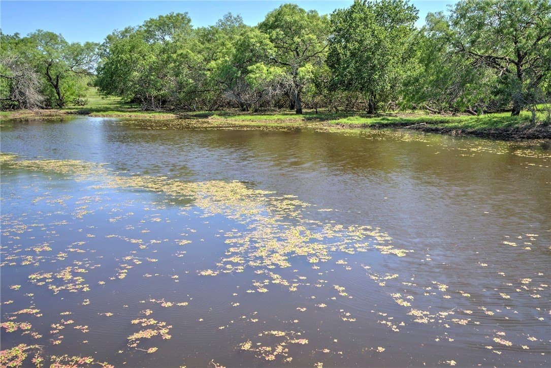 281.48 acres in Bee County - photo 37