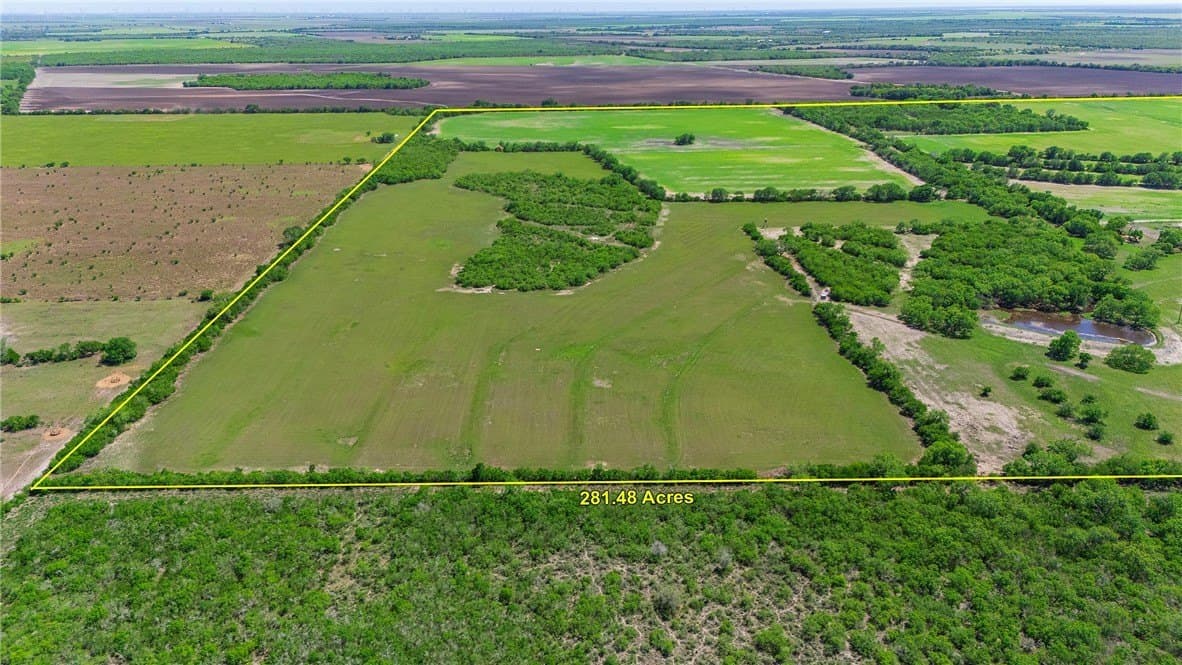 281.48 acres in Bee County - photo 5