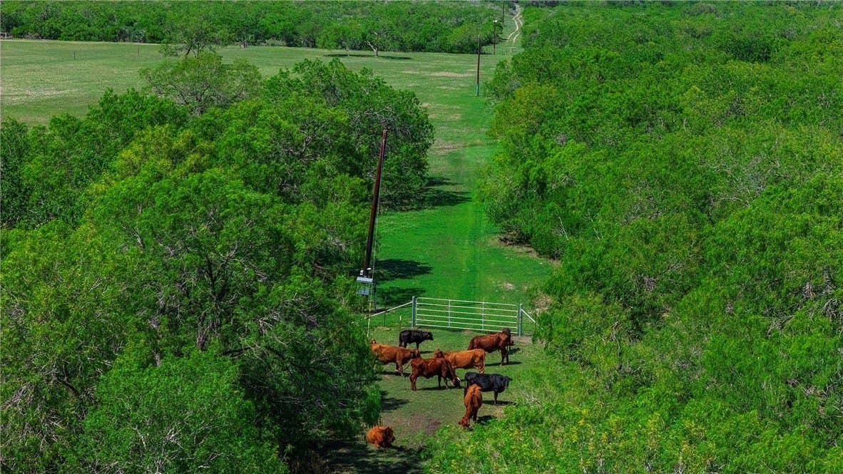 281.48 acres in Bee County - photo 20