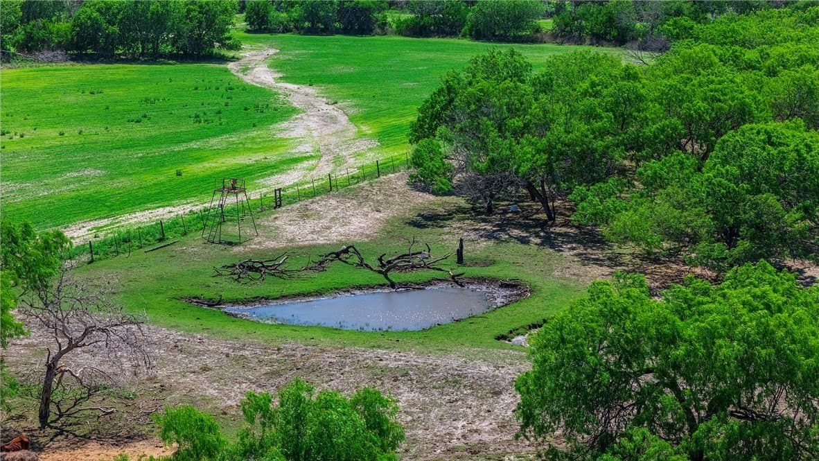 281.48 acres in Bee County - photo 19