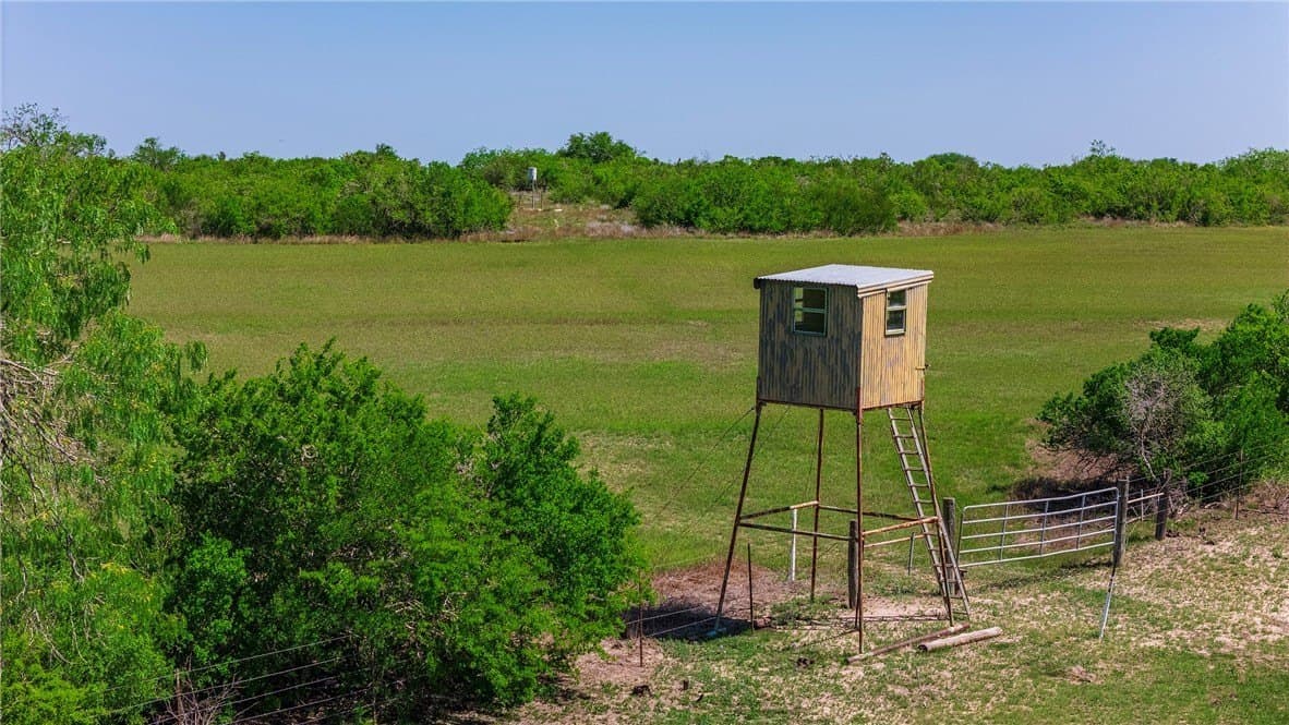 281.48 acres in Bee County - photo 13