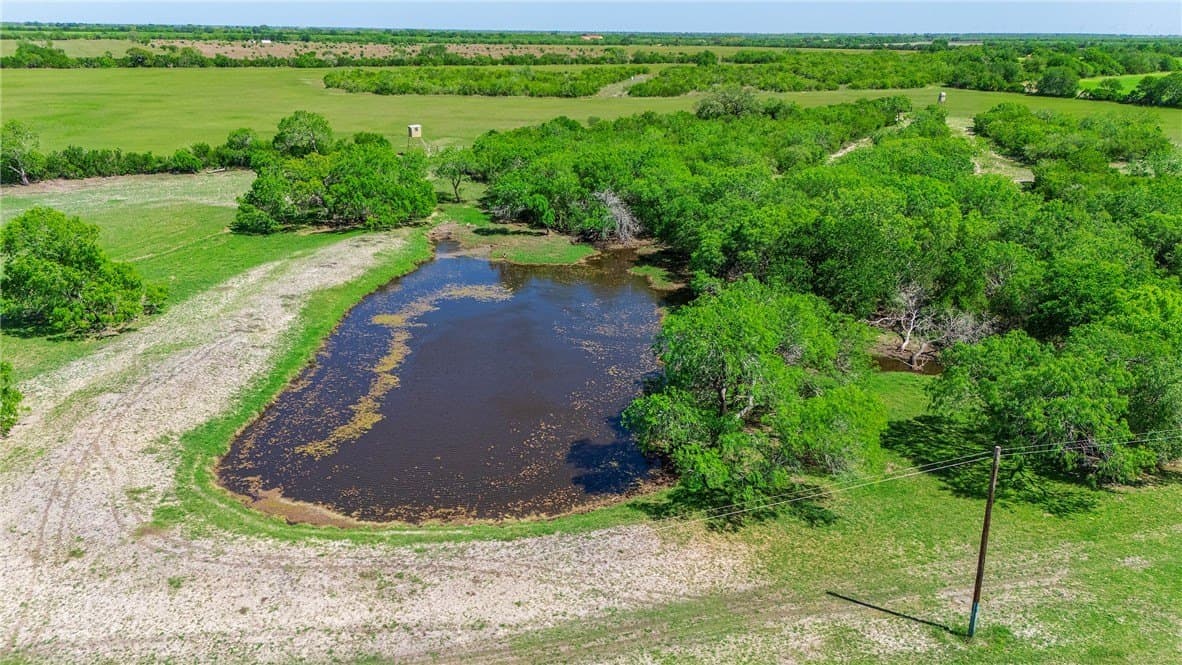 281.48 acres in Bee County - photo 17