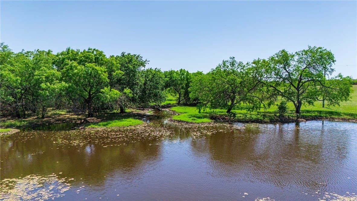 281.48 acres in Bee County - photo 15