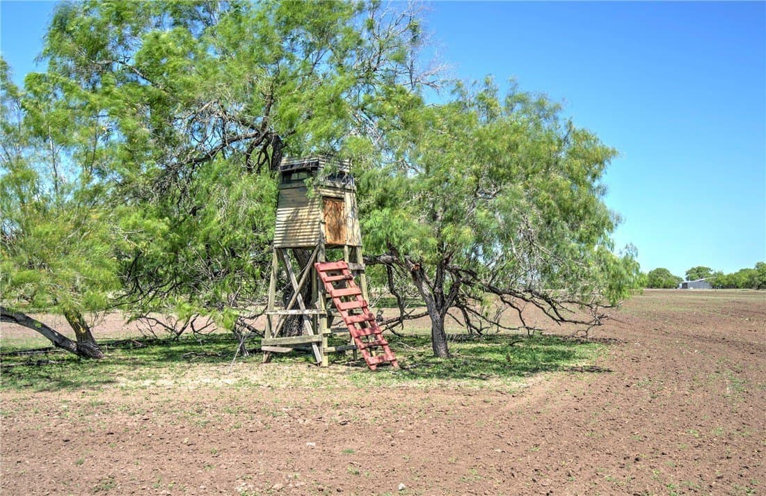 281.48 acres in Bee County - photo 30