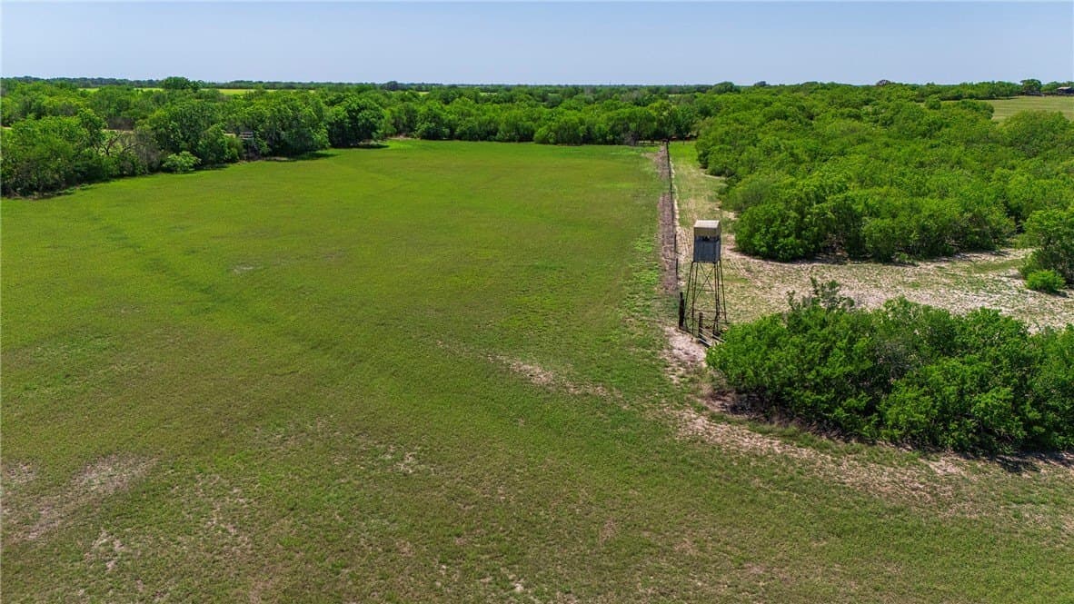281.48 acres in Bee County - photo 7