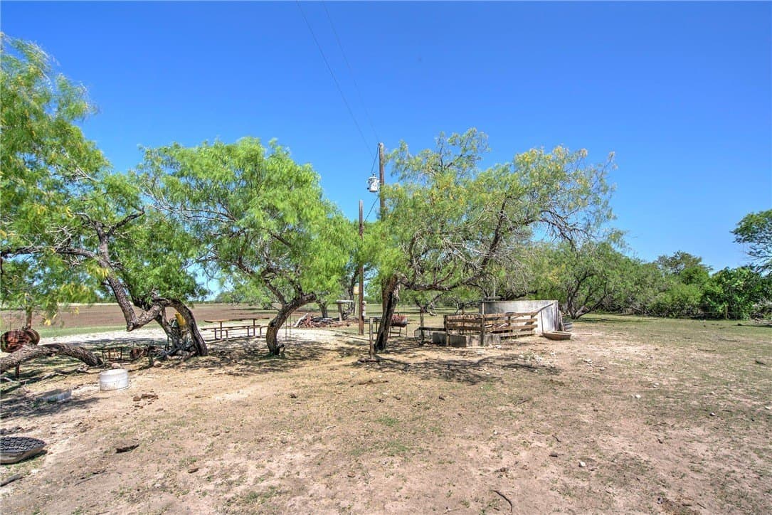 281.48 acres in Bee County - photo 34