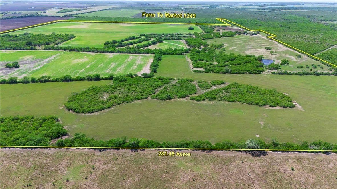 281.48 acres in Bee County - photo 4