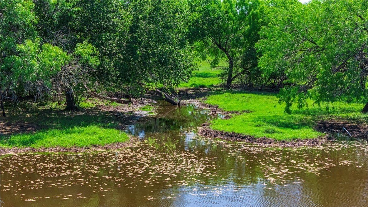 281.48 acres in Bee County - photo 16