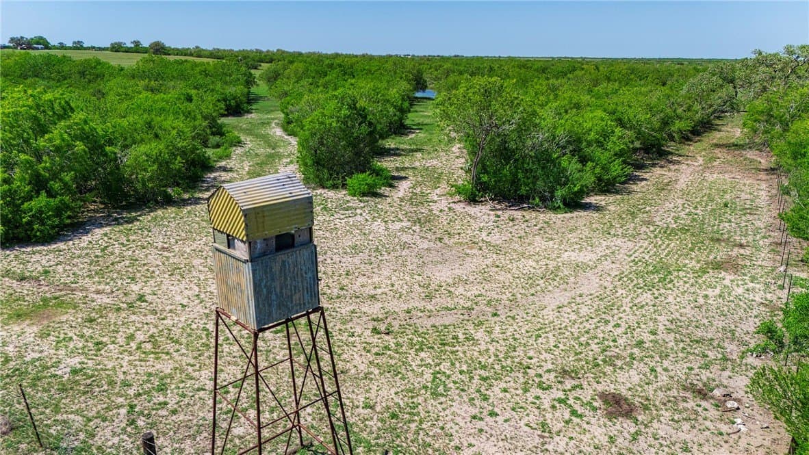 281.48 acres in Bee County - photo 11