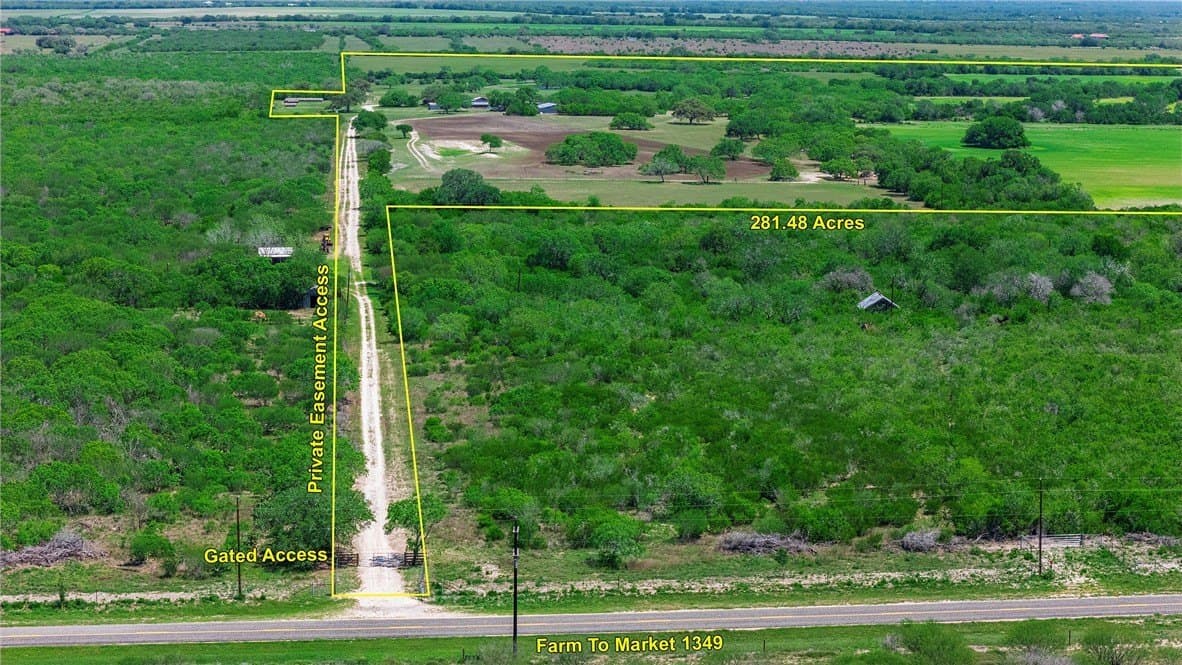 281.48 acres in Bee County - photo 9