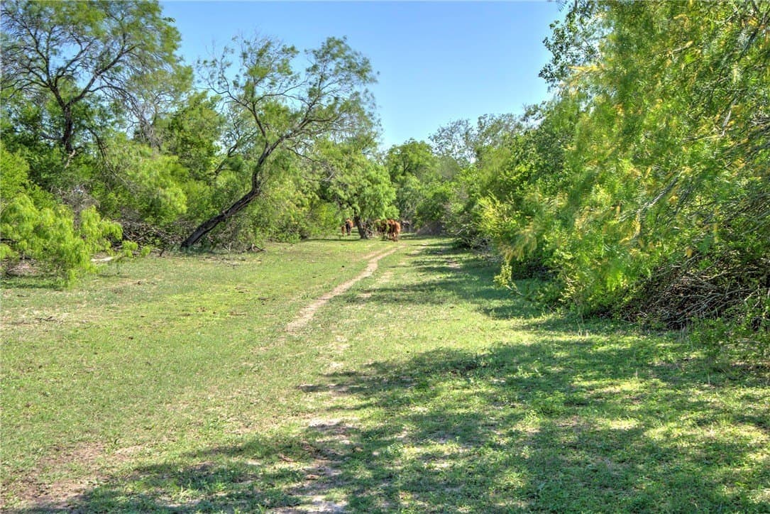 281.48 acres in Bee County - photo 39