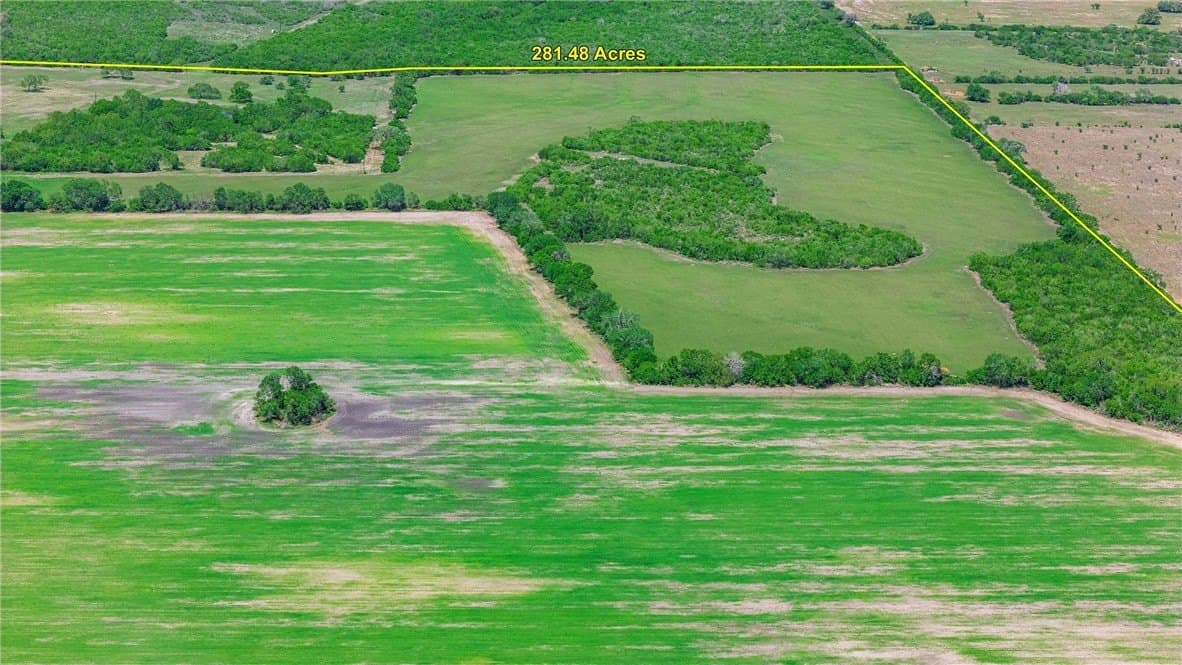 281.48 acres in Bee County - photo 6