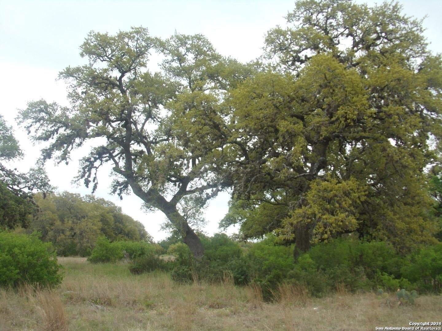 1.18 acres in Comal County - photo 4