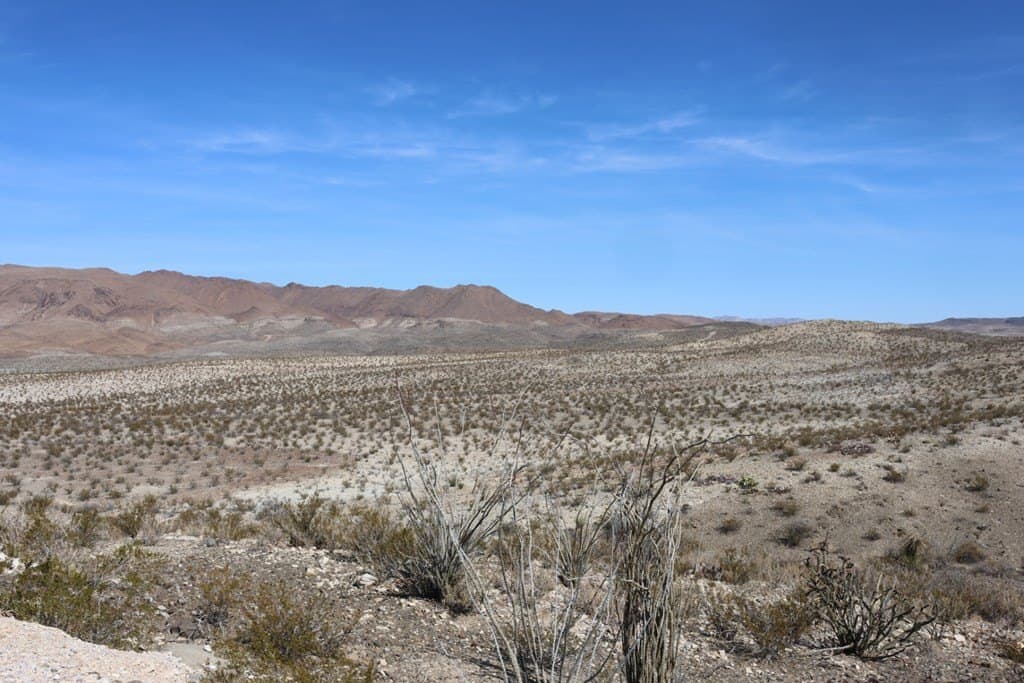 40 acres in Brewster County - photo 14