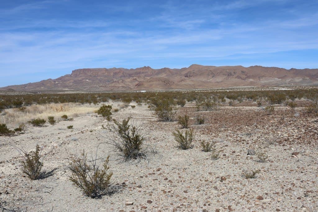 40 acres in Brewster County - photo 19