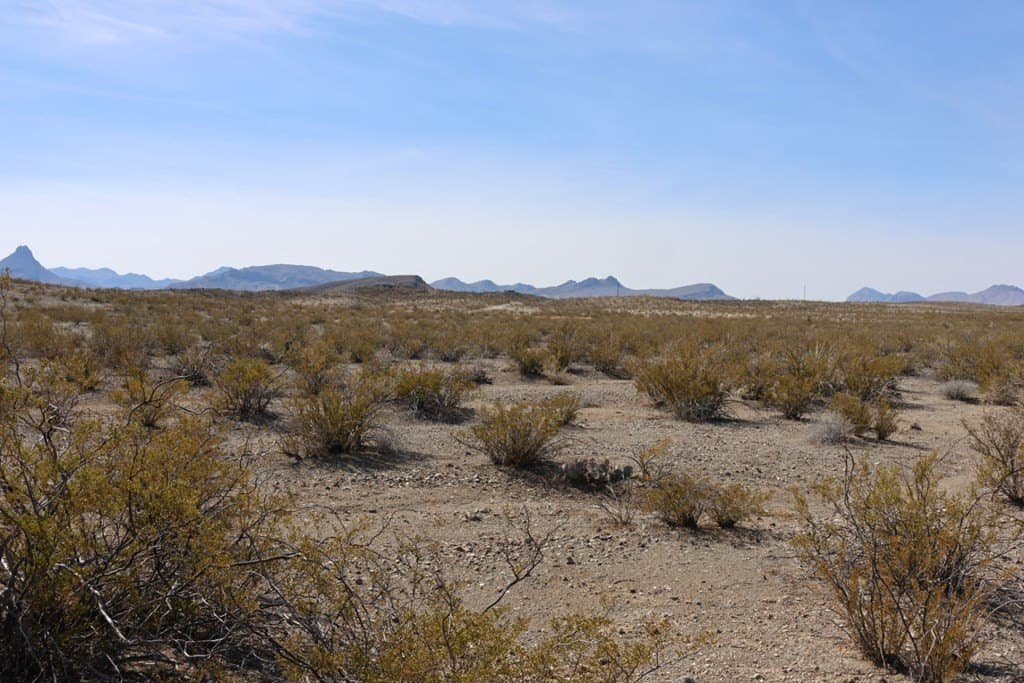 40 acres in Brewster County - photo 17